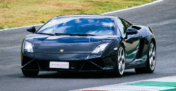 Lamborghini Gallardo